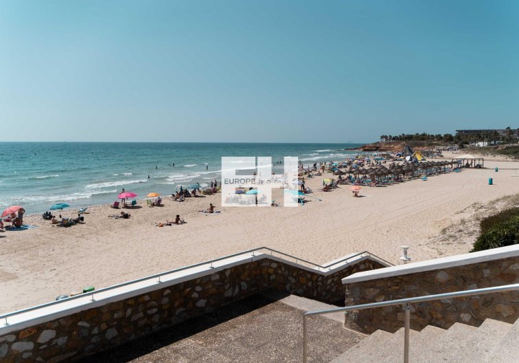 Obra Nueva - villa - Pilar de la Horadada - Riomar