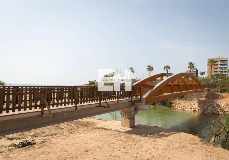 Obra Nueva - villa - Pilar de la Horadada - Riomar