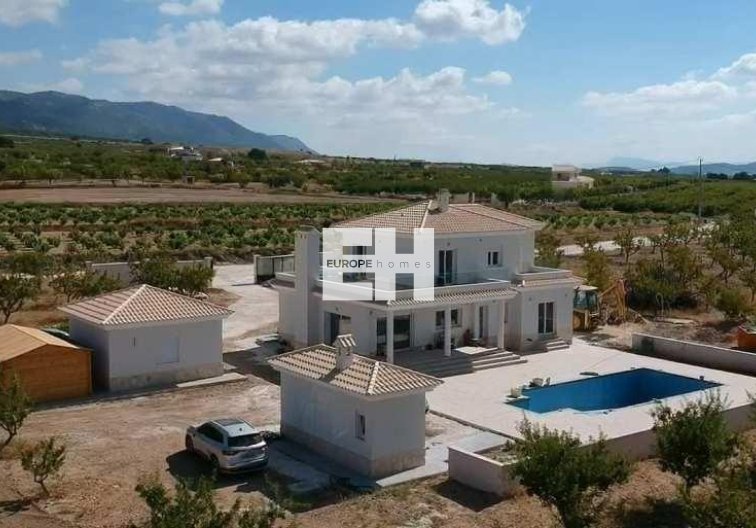 Obra Nueva - villa - Pinoso - Camino Del Prado