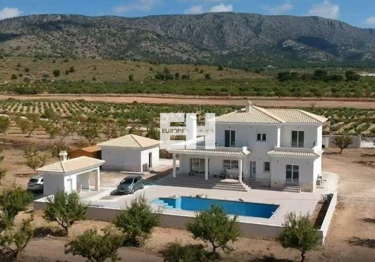 Obra Nueva - villa - Pinoso - Camino Del Prado