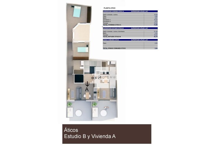 Obra Nueva - Atico - Torrevieja - Centro