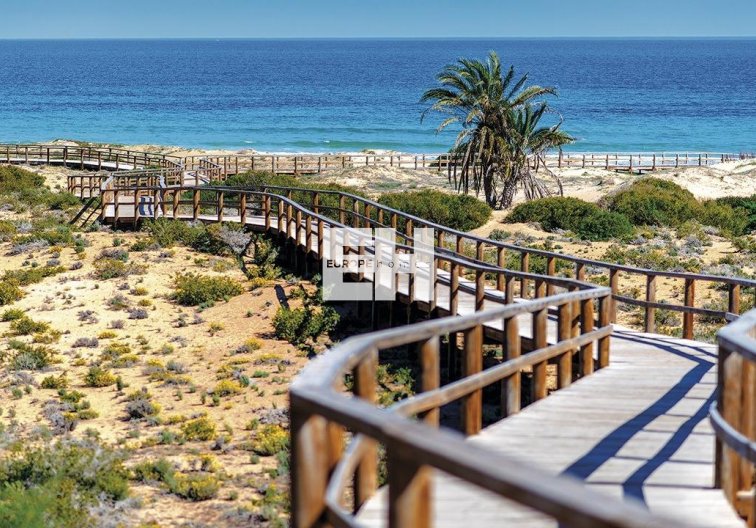 Obra Nueva - Ground floor apartment - Monforte del Cid - Alenda Golf