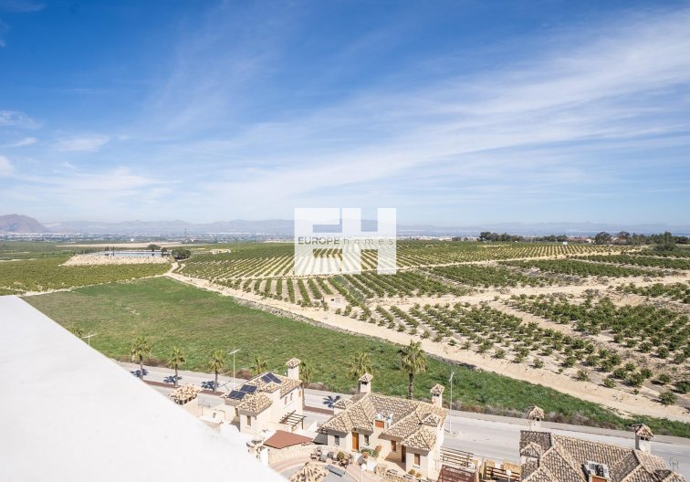 Construction Neuve - Semidetached - Algorfa - La Finca Golf