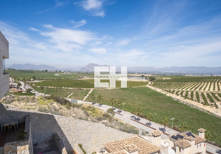 Construction Neuve - Semidetached - Algorfa - La Finca Golf