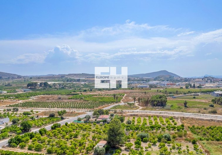 Obra Nueva - Apartamento  - Jacarilla - pueblo