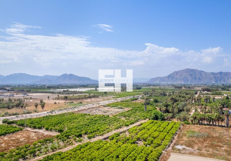 Obra Nueva - Atico - Jacarilla - pueblo