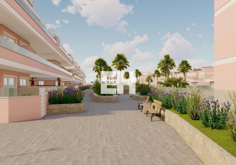 Obra Nueva - Semidetached - Pilar de la Horadada - Lo Monte