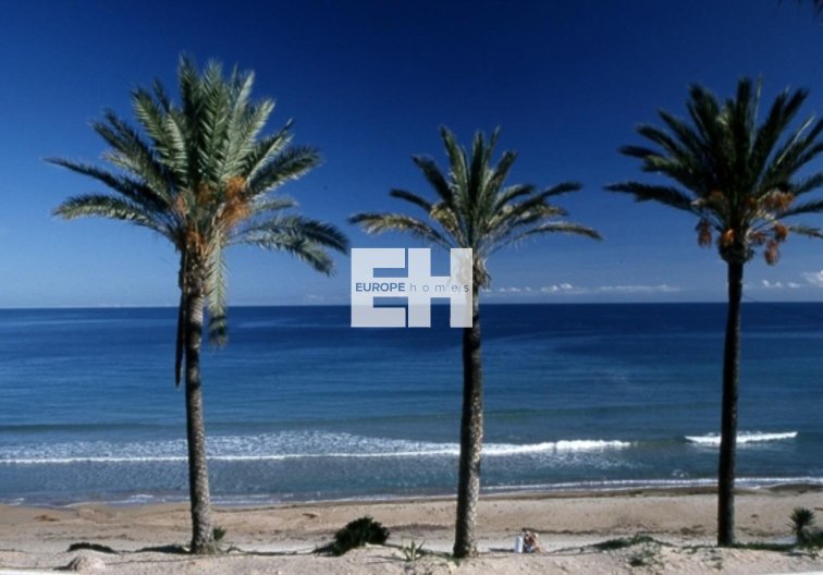 Obra Nueva - Bungalow en planta baja - Pilar de la Horadada - Parque Ramon eugenio Escudero