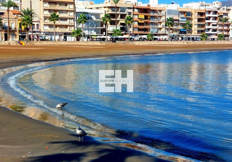 Neubau - town house - Fuente Álamo - La Pinilla