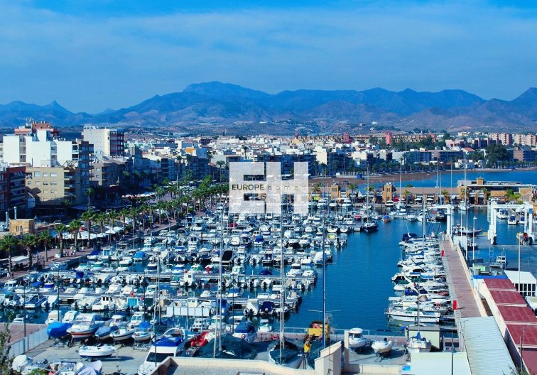 Construction Neuve - villa - Fuente Álamo - La Pinilla