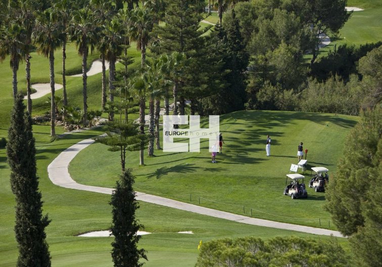 Nieuwbouw - Ground floor apartment - Orihuela Costa - Lomas de Campoamor