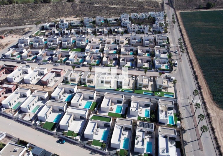 Obra Nueva - villa - Algorfa - La Finca Golf