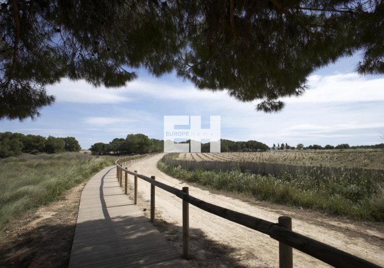 Obra Nueva - Bungalow en planta alta - Torrevieja - Altos del Sol