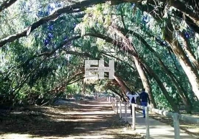 Obra Nueva - Bungalow en planta alta - Torrevieja - Altos del Sol