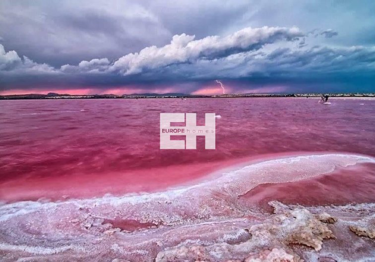 Neubau - Bungalow im Erdgeschoss - Torrevieja - Altos del Sol