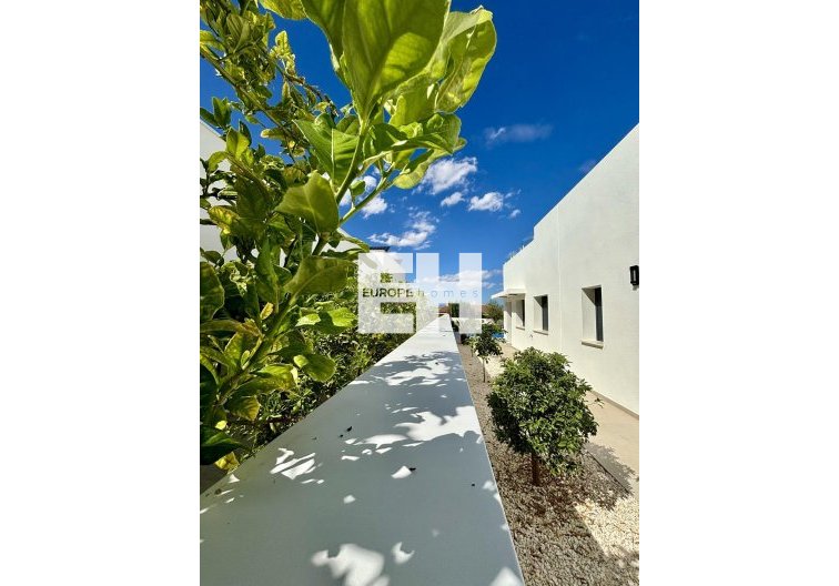 Construction Neuve - villa - Benijofar - Pueblo