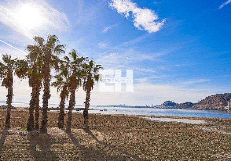 Obra Nueva - villa - Els Poblets - Partida Barranquets